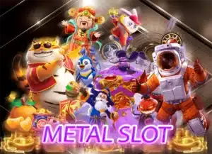 Read more about the article metal slot